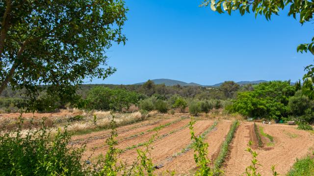 Finca Ses Cases