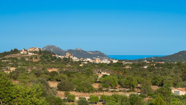 Finca Son Espino