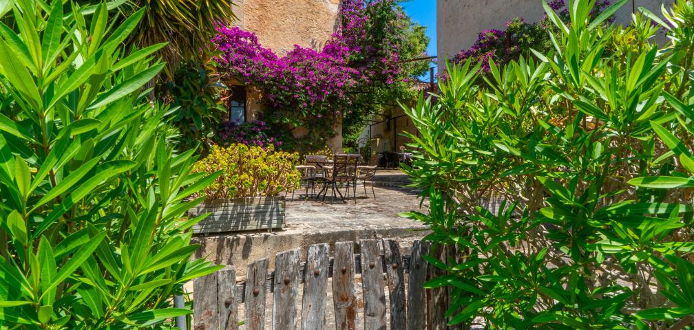 Finca Son Favar
