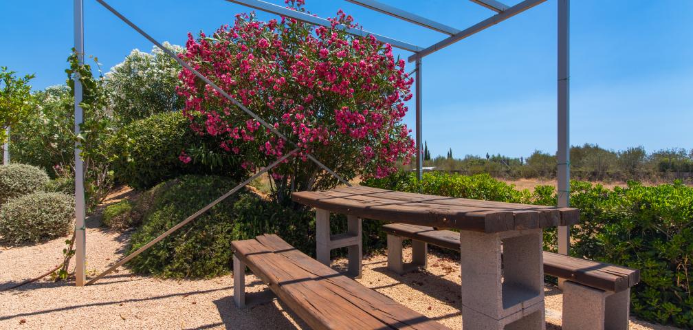 Finca Can Cariño