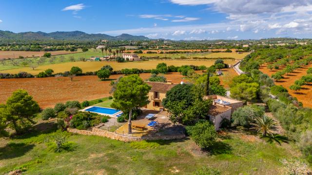Finca Vistalegre