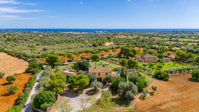 Finca Vistalegre