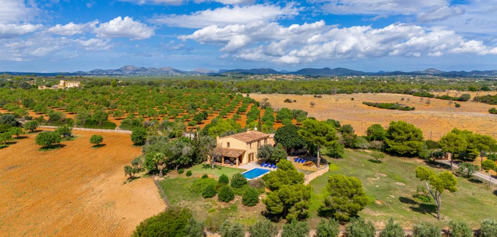 Finca Vistalegre
