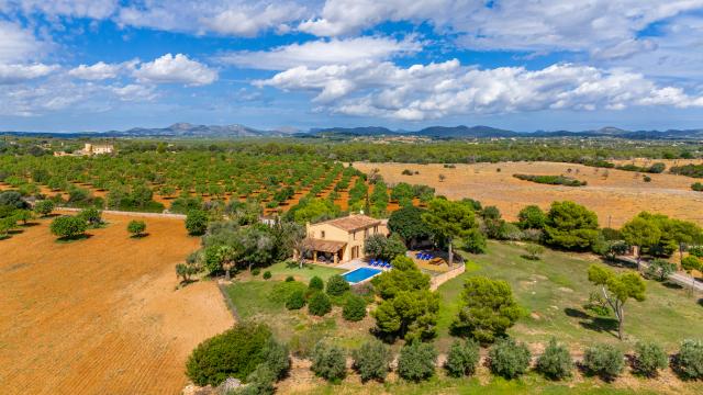 Finca Vistalegre