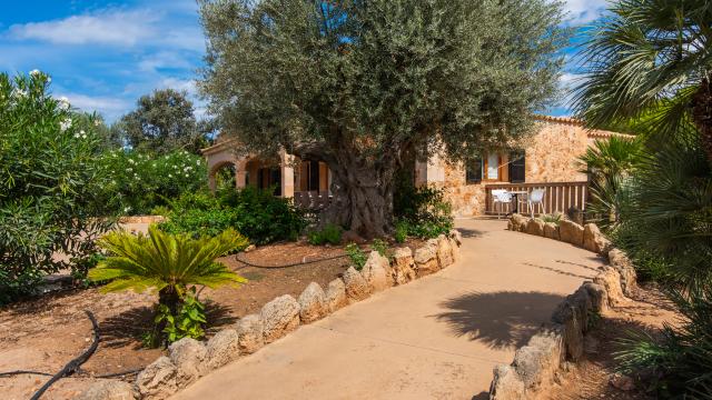 Finca Es Turo