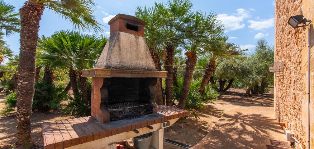 Finca Palmitos 01