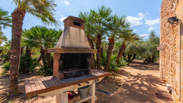 Finca Palmitos 01