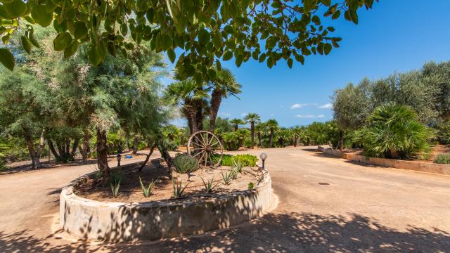 Finca Palmitos 01