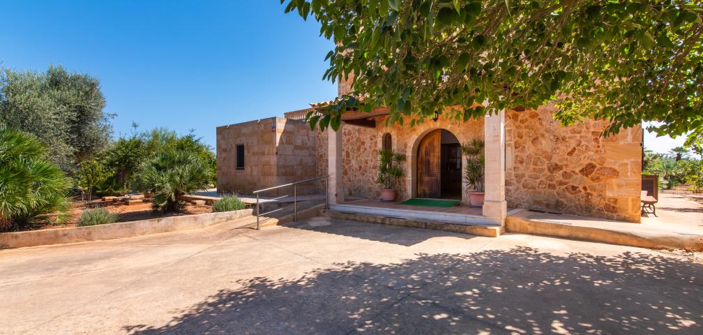 Finca Palmitos 01