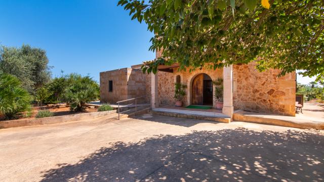 Finca Palmitos 01
