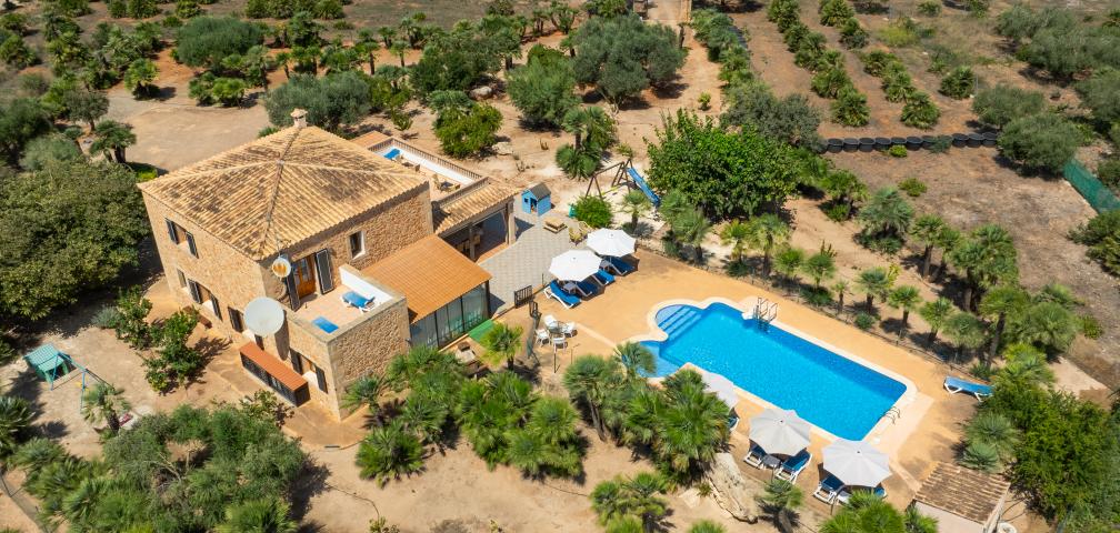 Finca Palmitos 01