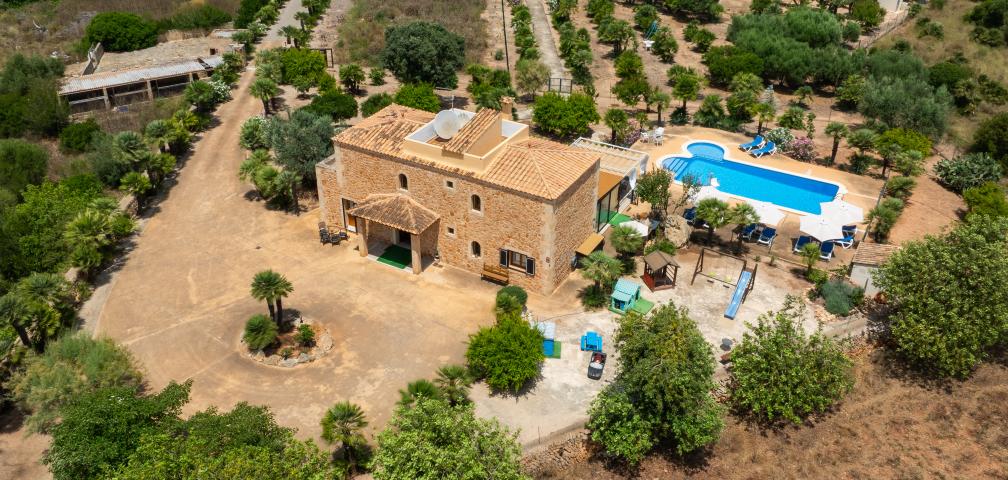 Finca Palmitos 02