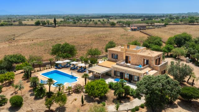 Finca Palmitos 02