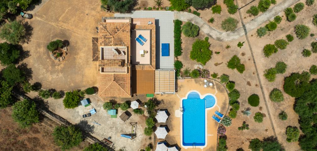 Finca Palmitos 02
