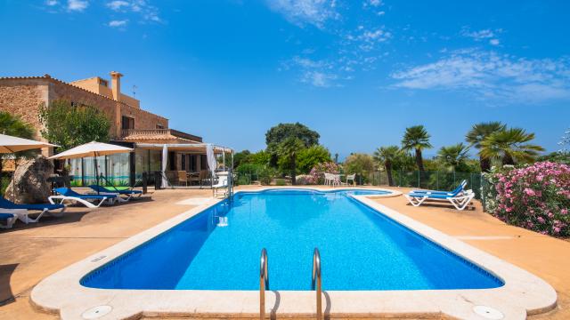 Finca Palmitos 02