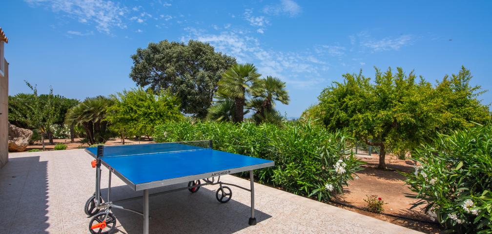 Finca Palmitos 02