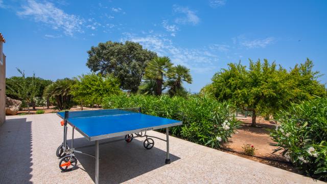 Finca Palmitos 02