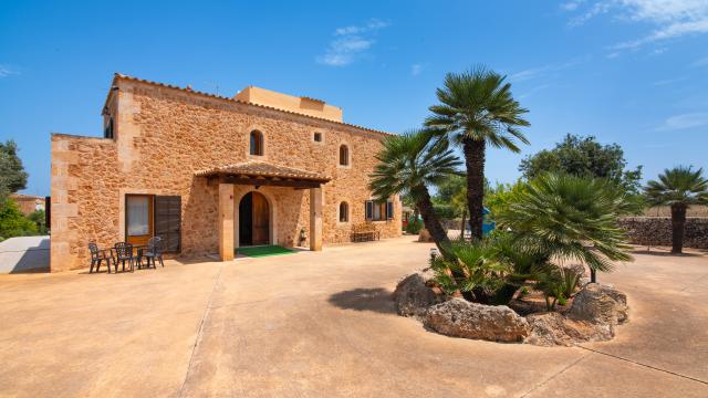 Finca Palmitos 02