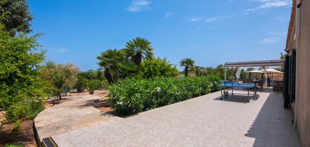 Finca Palmitos 02