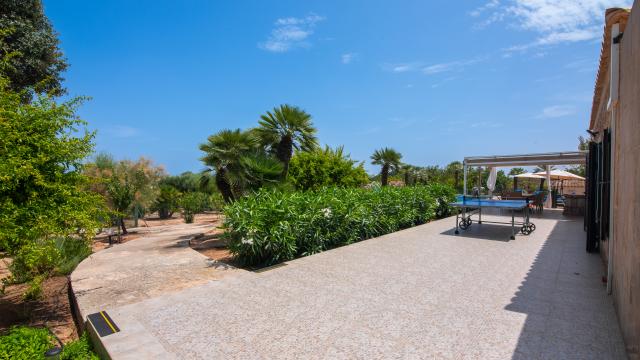 Finca Palmitos 02