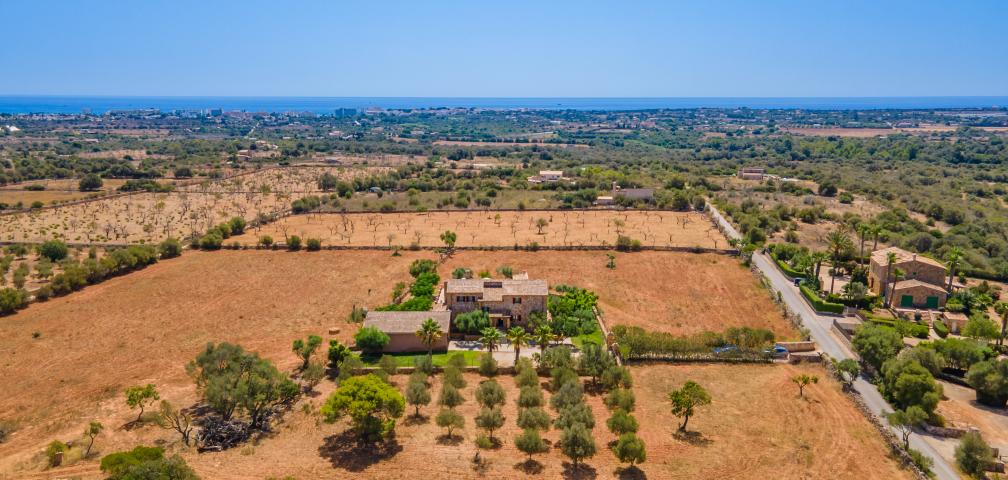 Finca Sa Torre Nova