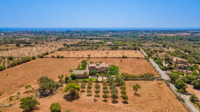 Finca Sa Torre Nova