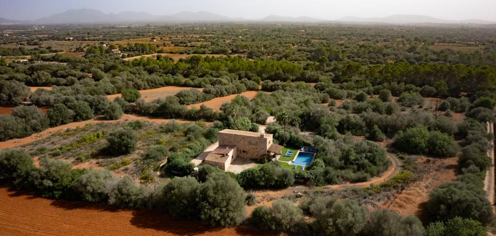 Finca Son Mas