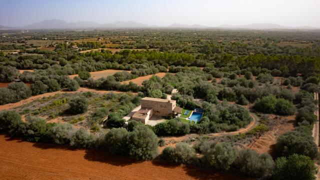 Finca Son Mas