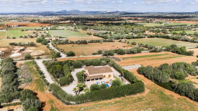 Finca La Vinya
