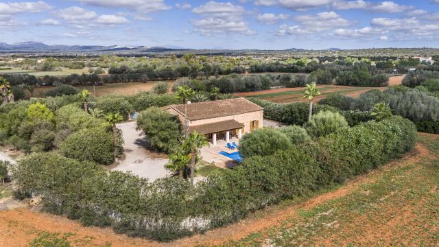 Finca La Vinya