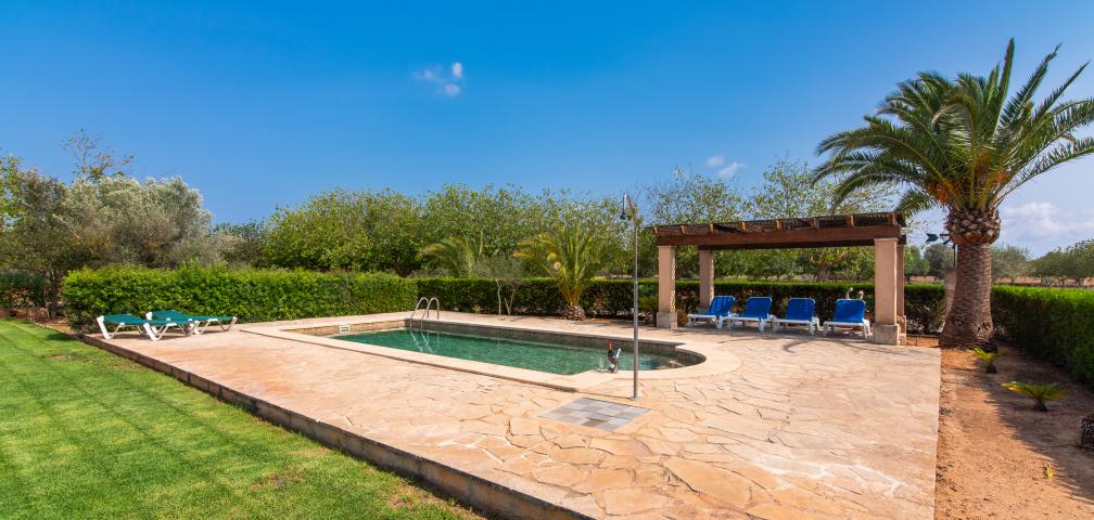 Finca Son Viquet