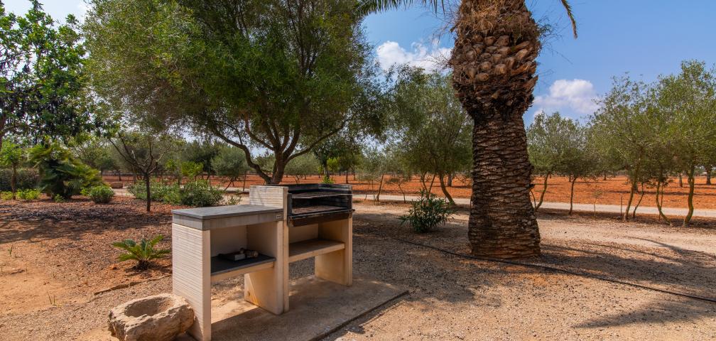 Finca Son Viquet