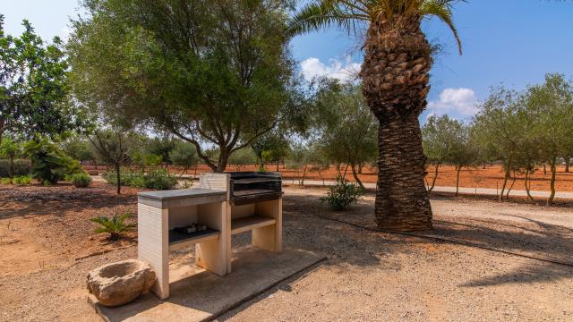 Finca Son Viquet