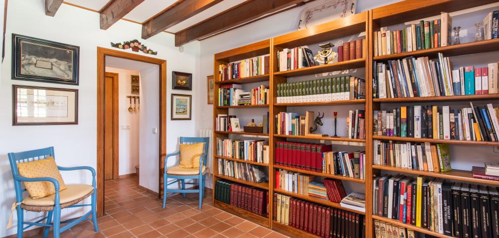 Finca Son Viquet