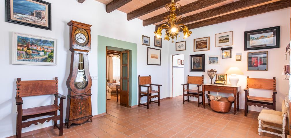 Finca Son Viquet