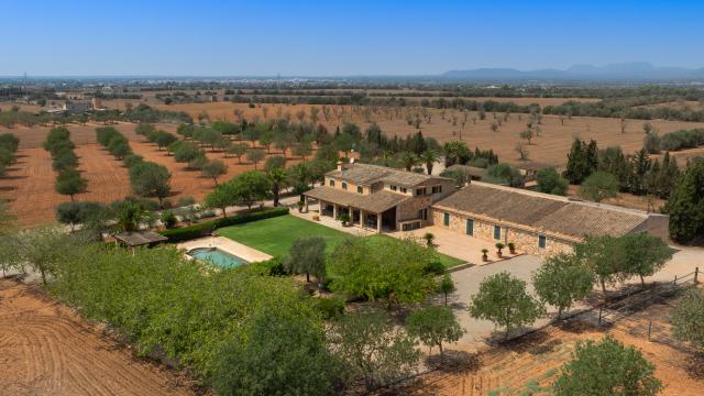 Finca Son Viquet