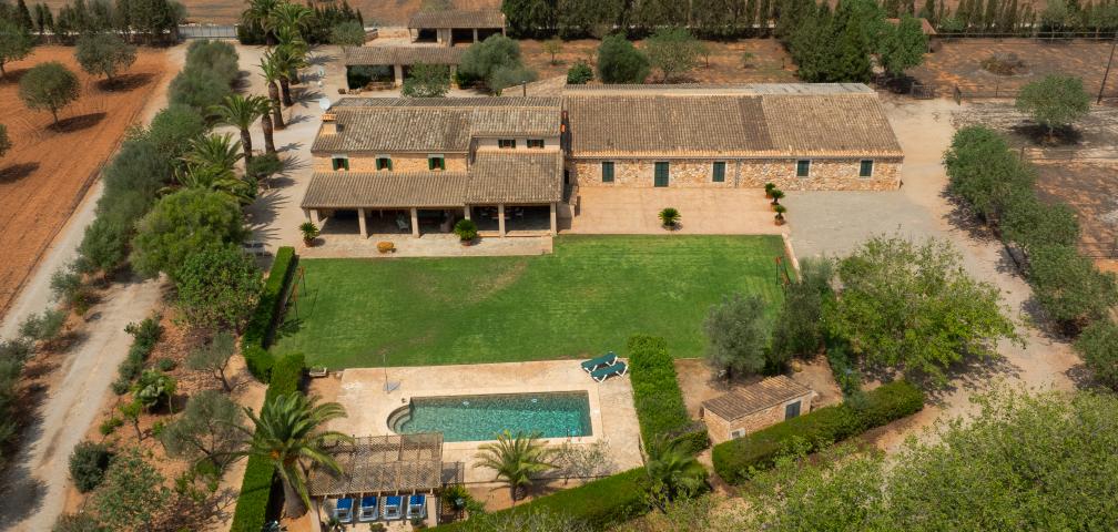 Finca Son Viquet