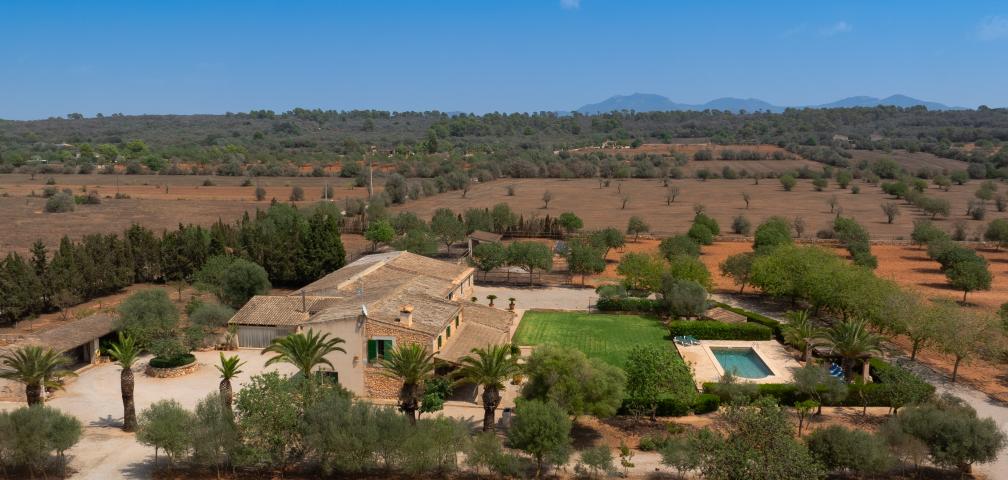 Finca Son Viquet