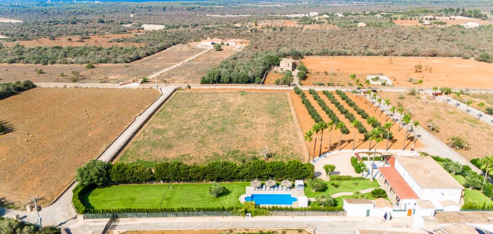 Finca Can Maties