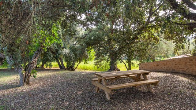 Finca Son Punta
