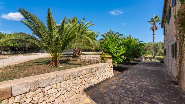 Finca Son Punta