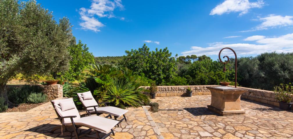 Finca Son Punta