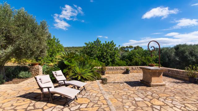 Finca Son Punta