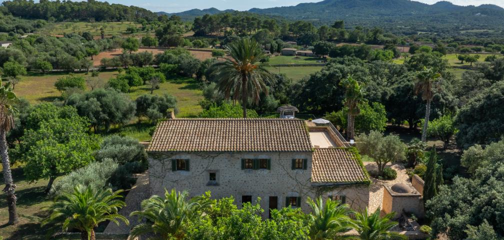 Finca Son Punta
