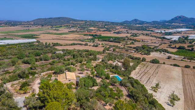 Finca Son Sellart