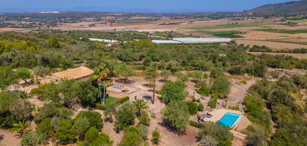 Finca Son Sellart