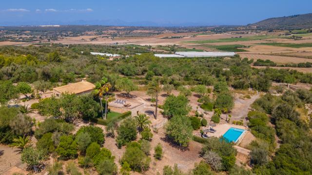 Finca Son Sellart